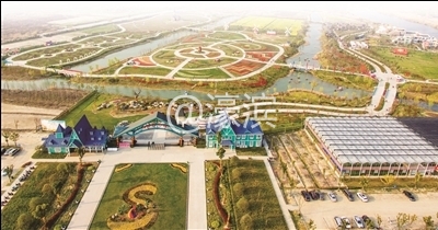 鲜花小镇 卑多敏摄