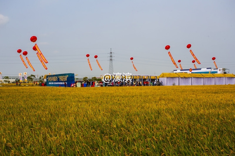 海门丰收节  钱伟章摄  (4).jpg