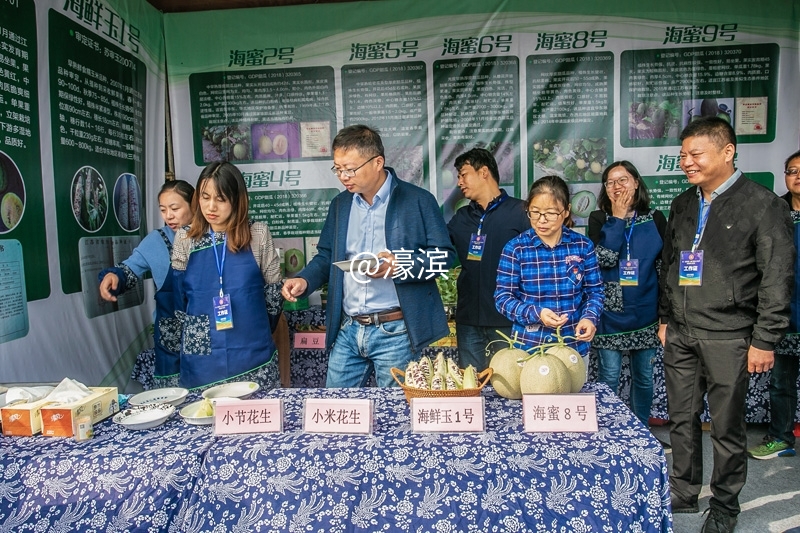 海门丰收节  钱伟章摄  (9).jpg