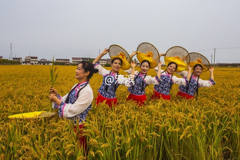 海门丰收节  钱伟章摄  (17).jpg