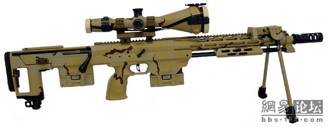 DSR-1步枪3.jpg