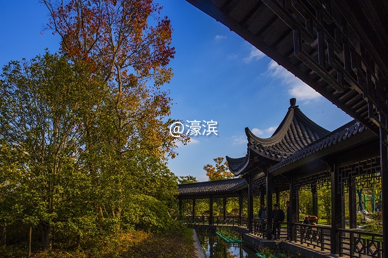 跳动的秋光  城山公园秋景初探 (2).jpg