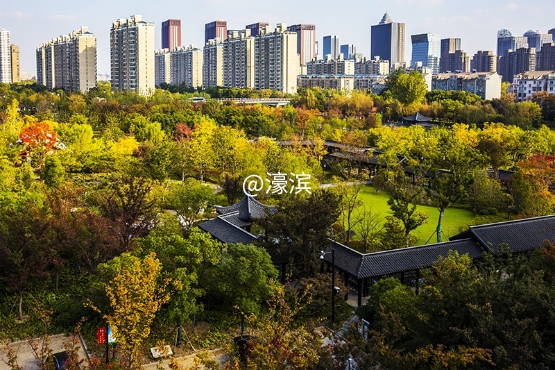 跳动的秋光  城山公园秋景初探 (8).jpg