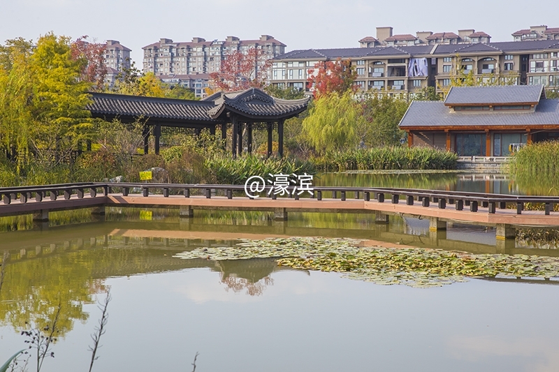 跳动的秋光  城山公园秋景初探 (9).jpg