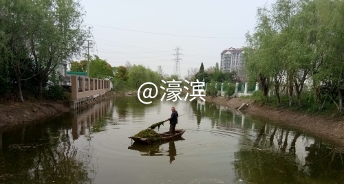 清理河道浮萍草_conew1.jpg
