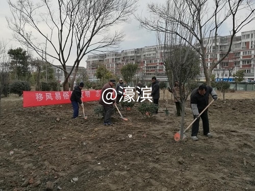 2018年2月3日，移风易俗树文明，志愿植树护绿化.jpg