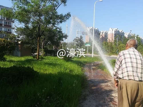 绿化浇水解渴.jpg
