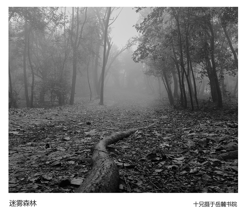 IMG_20181227_144846 - 副本.jpg