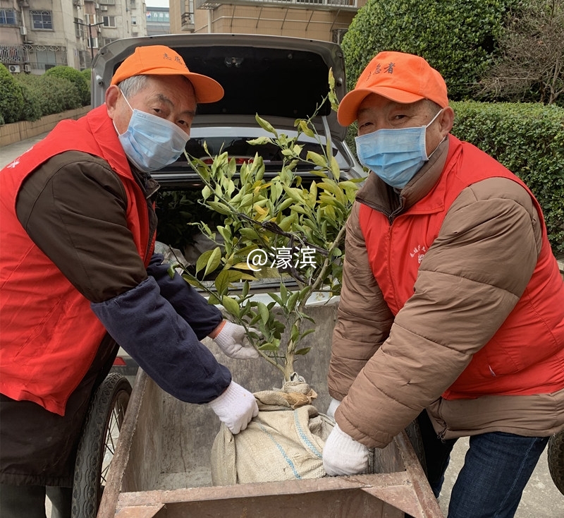 20200303濠西社区：“防疫”绿化两不误 春暖花开终有时2.jpg