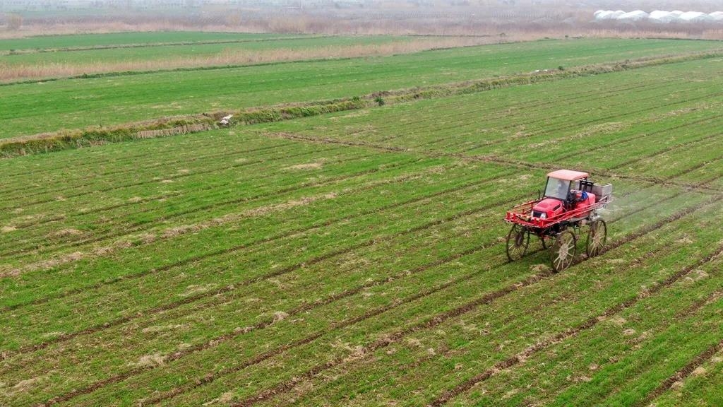 港闸视点 农业照片.jpg