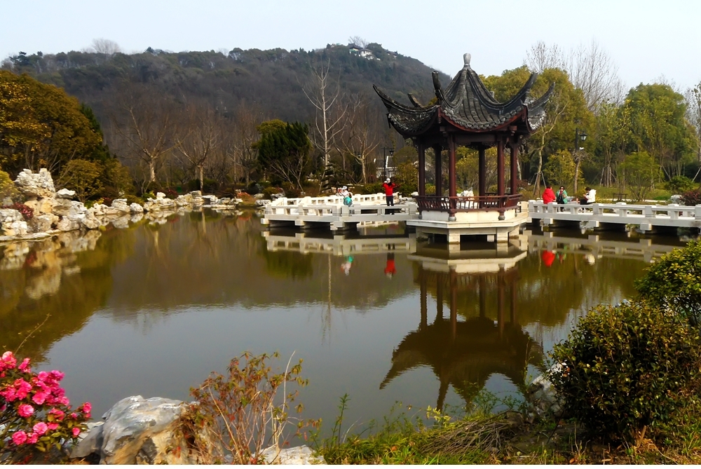 SAM_2987_副本 .jpg