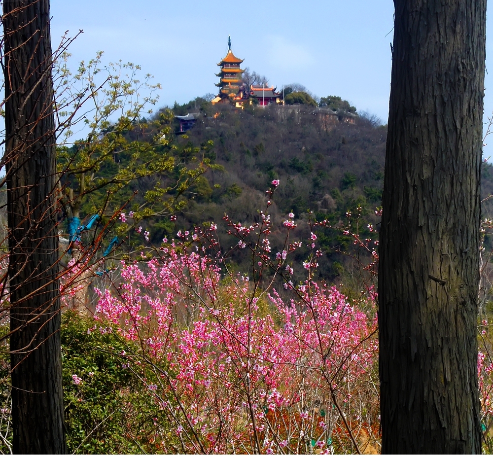 SAM_3300_副本 .jpg