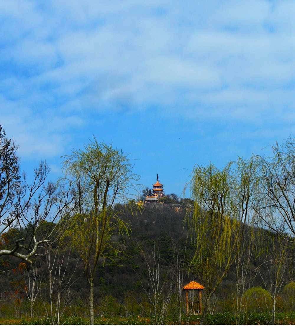 SAM_3337_副本 .jpg