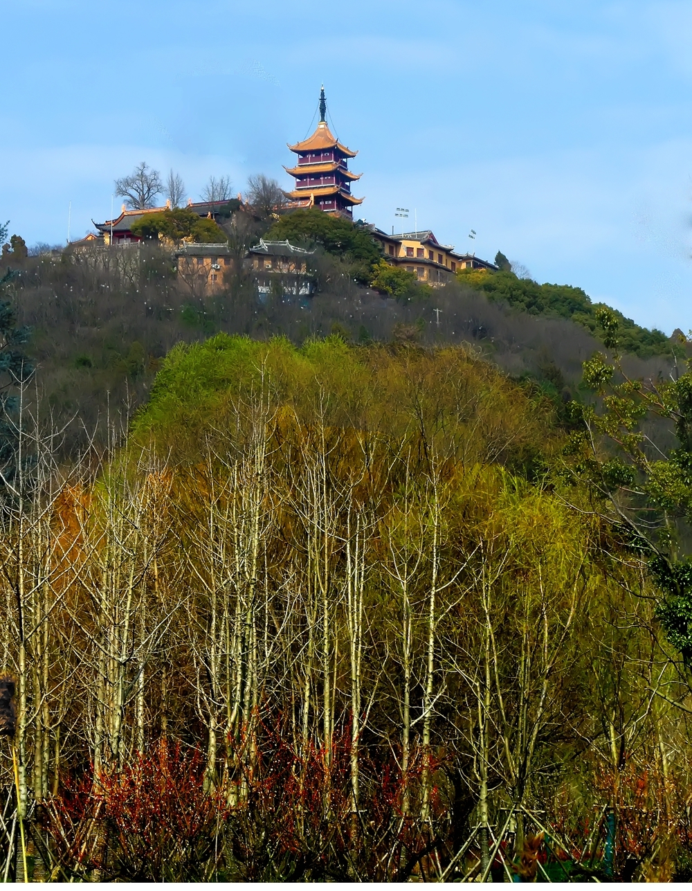 SAM_3353_副本 .jpg