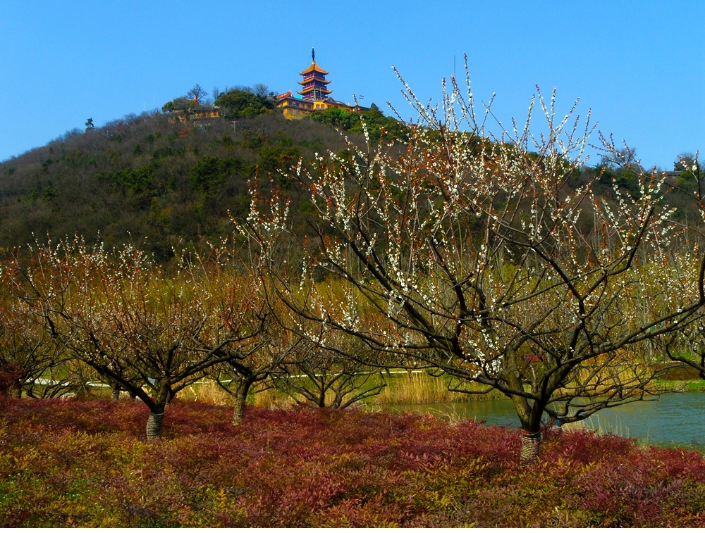 SAM_3378_副本 .jpg