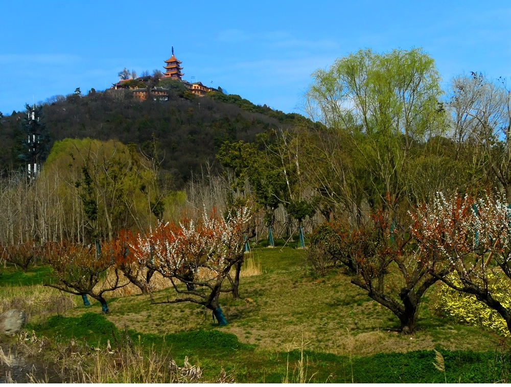 SAM_3357_副本 .jpg