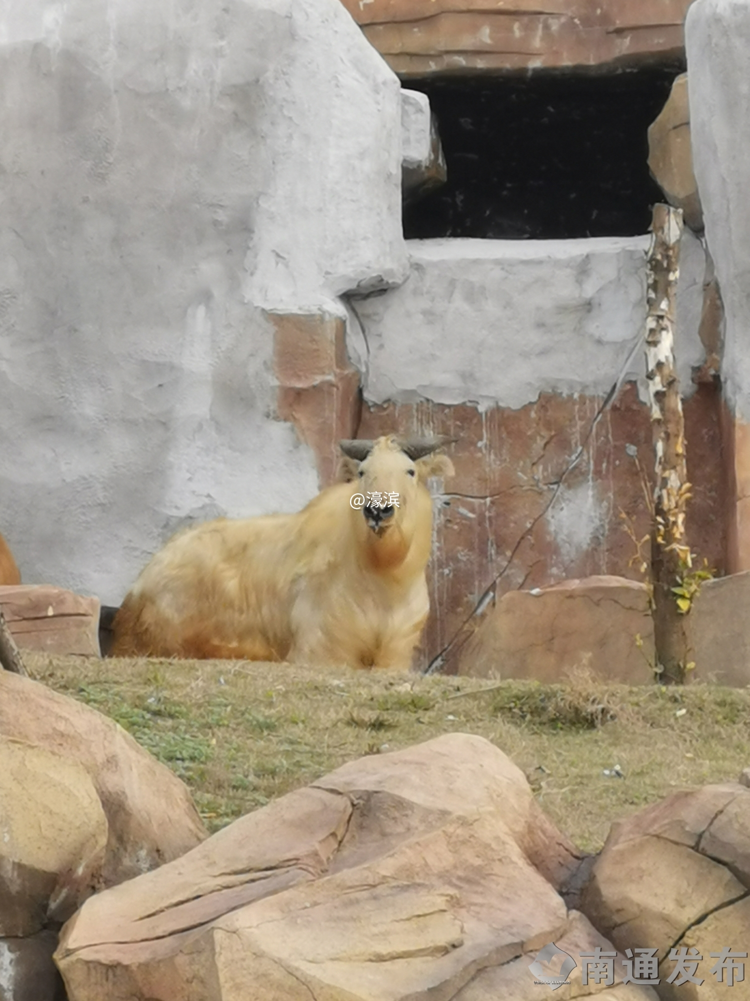 1d62be3c-8494-4b6d-b9e4-af83d8909781_batchwm (1).jpg