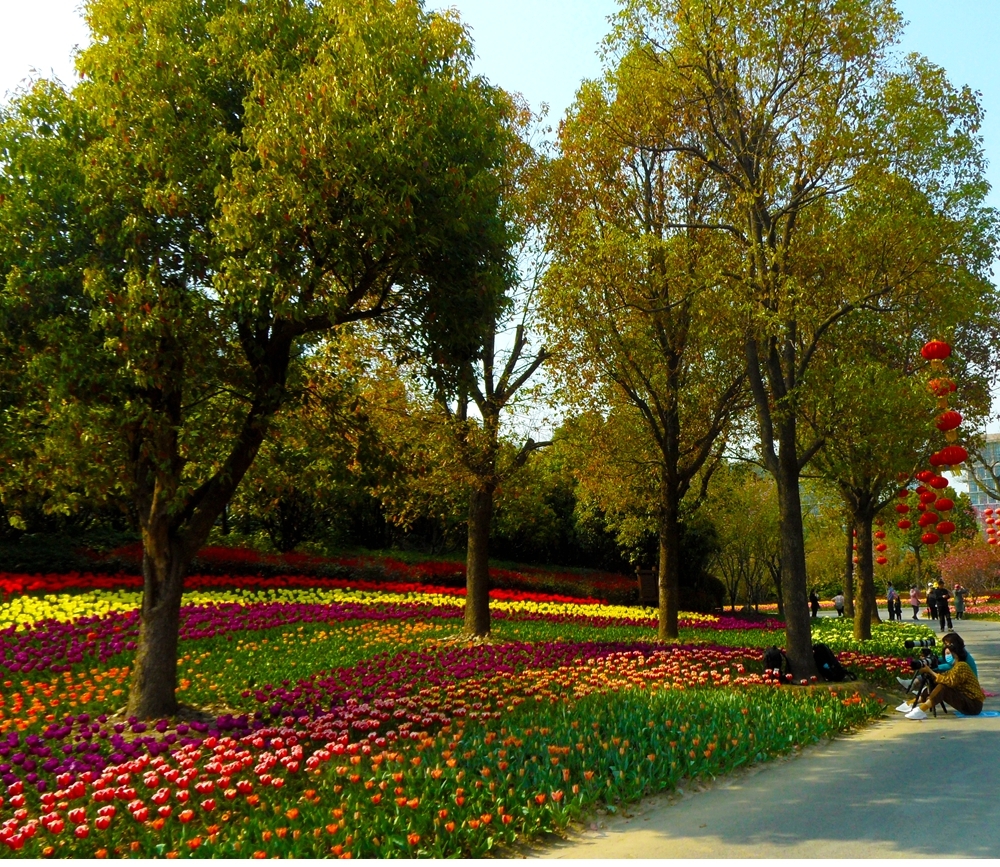 SAM_5072_副本 .jpg