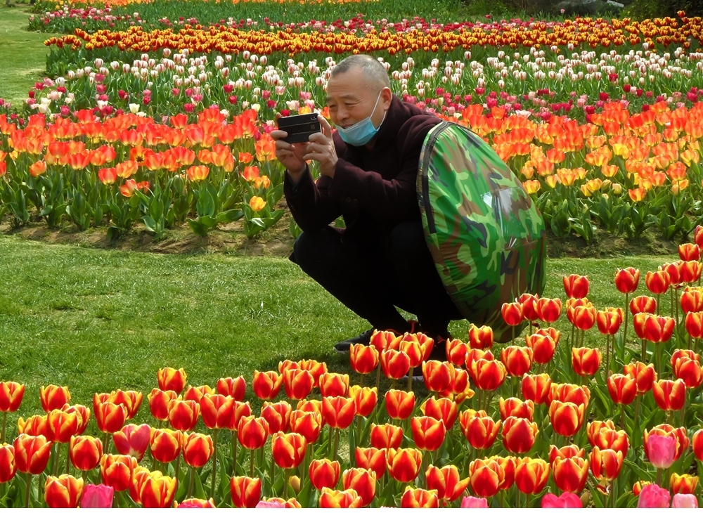 SAM_5173_副本 .jpg