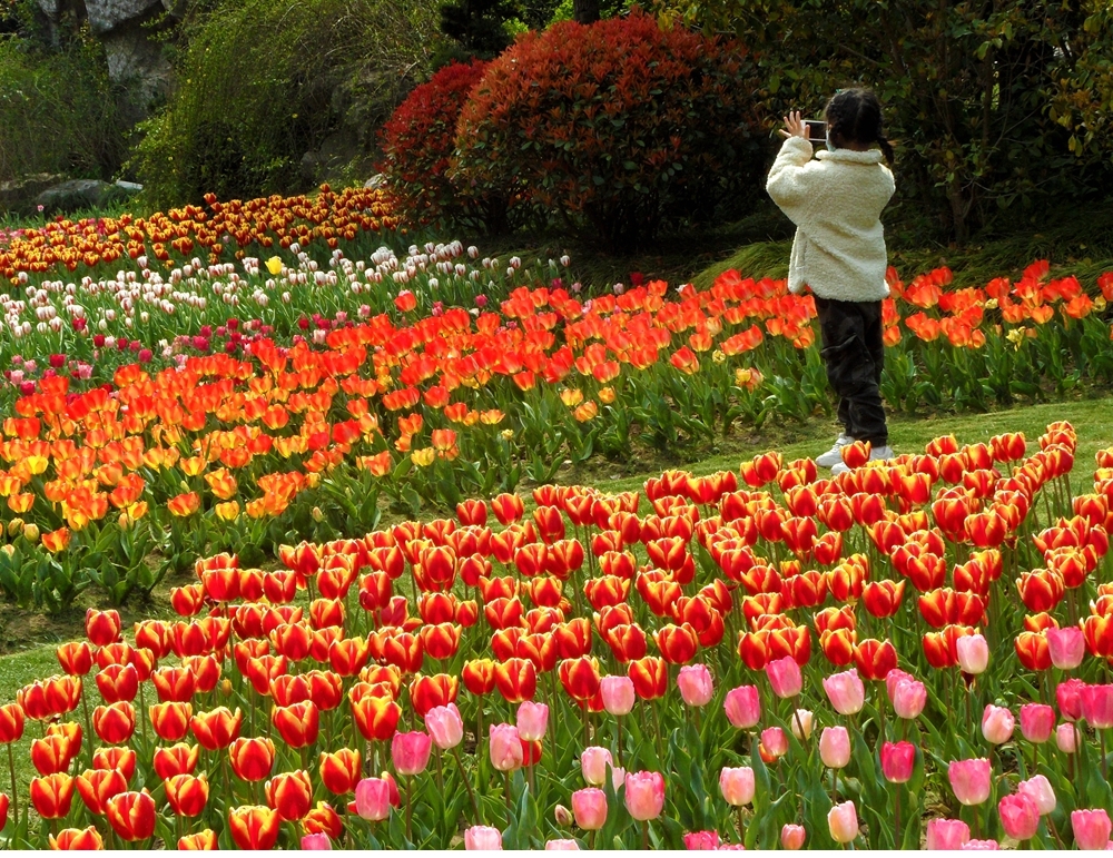 SAM_5169_副本 .jpg