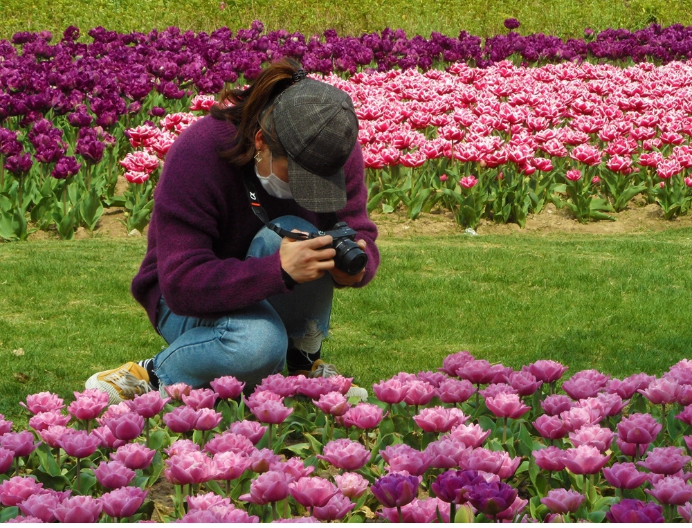 SAM_5183_副本 .jpg