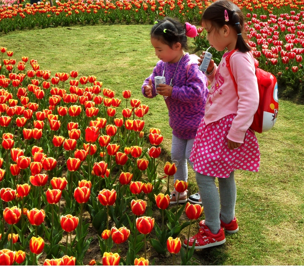 SAM_5162_副本 .jpg