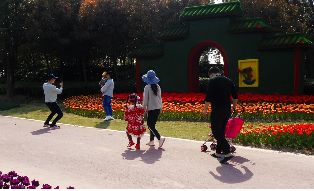 SAM_5035_副本 .jpg