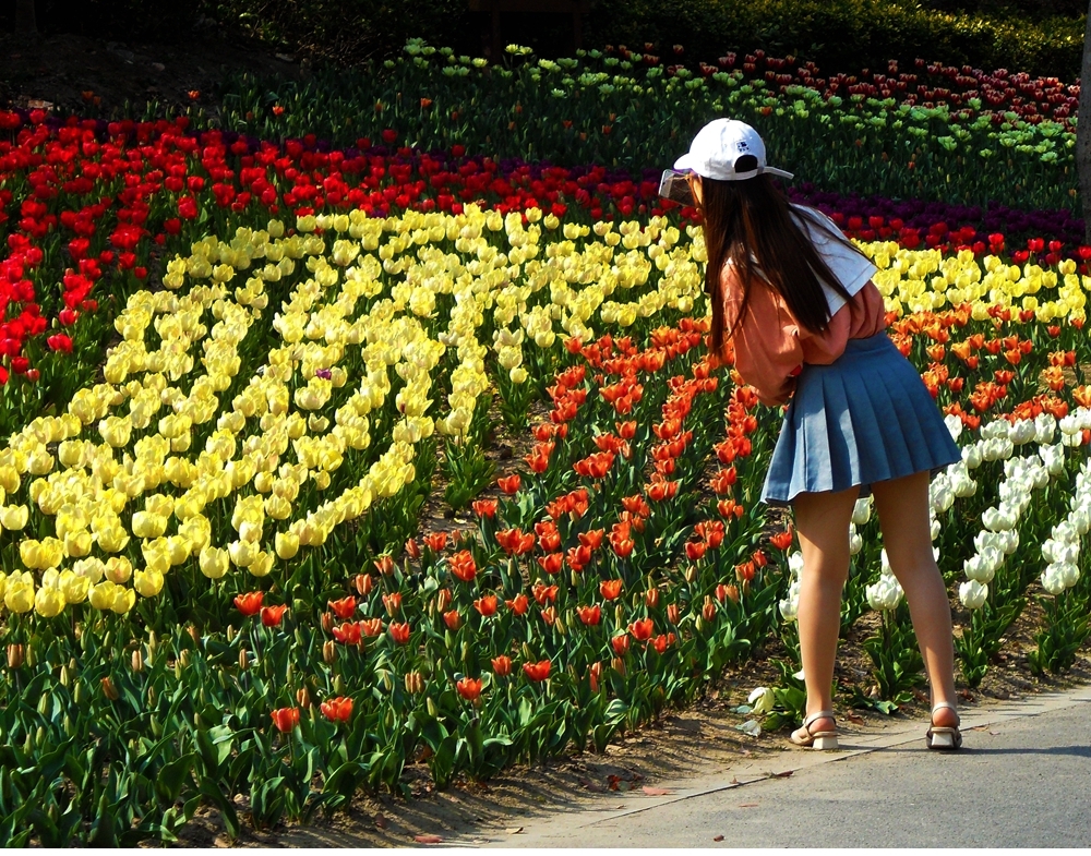 SAM_5049_副本 .jpg