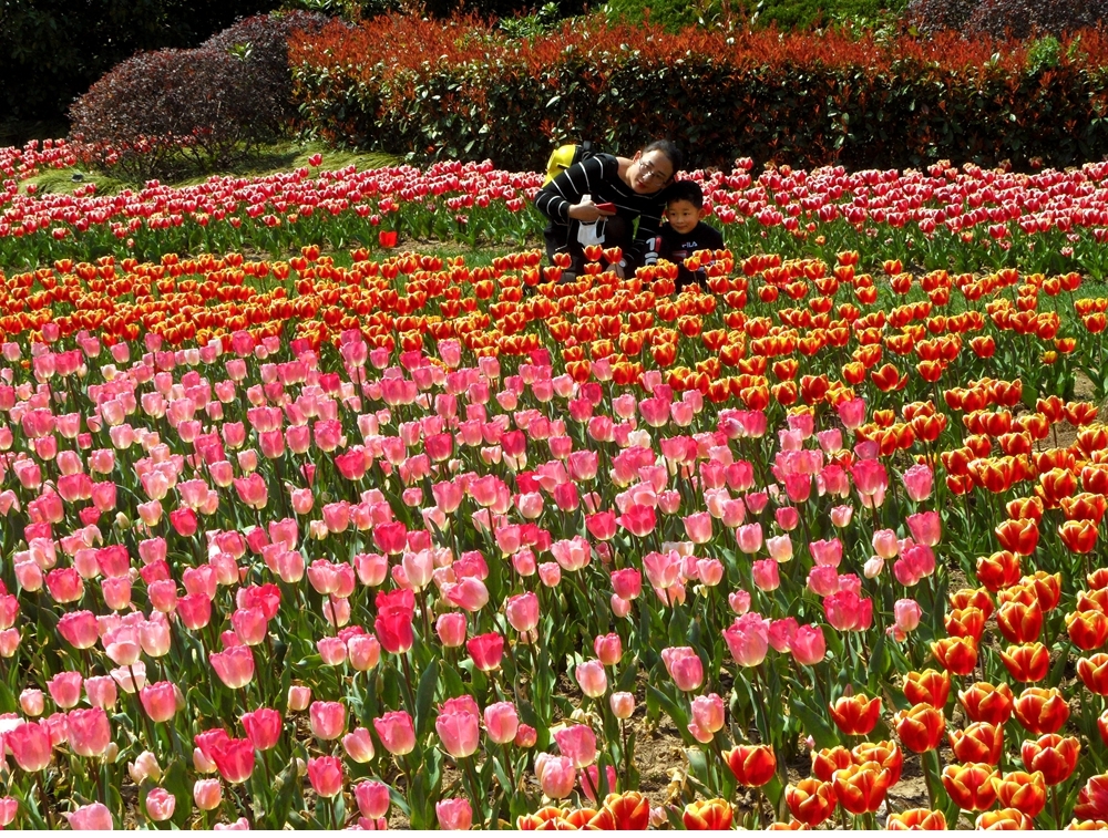 SAM_4934_副本 .jpg