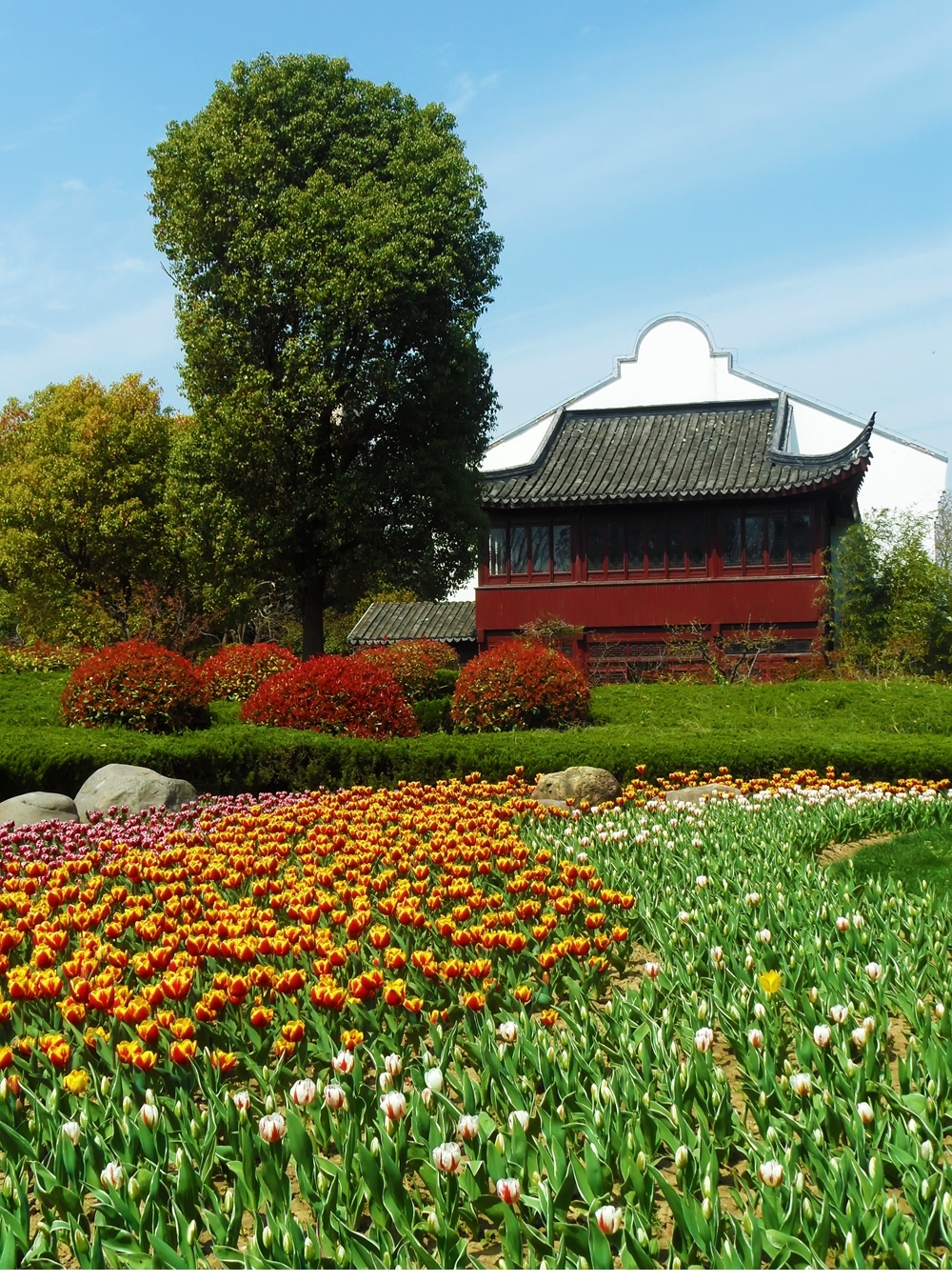 SAM_4835_副本 .jpg