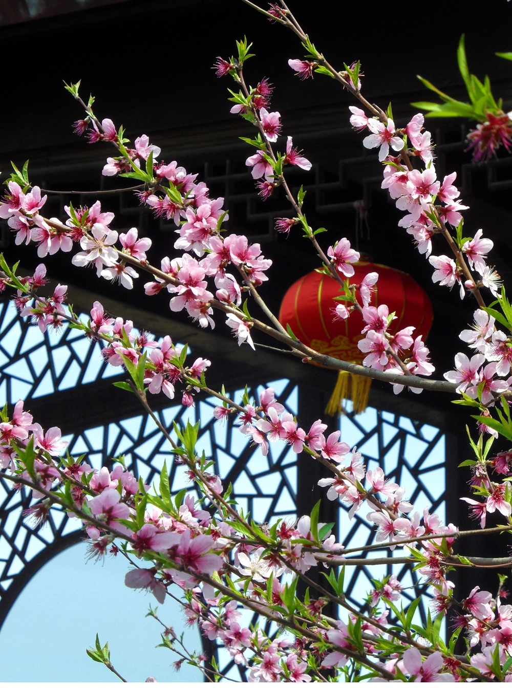 SAM_4862_副本 .jpg