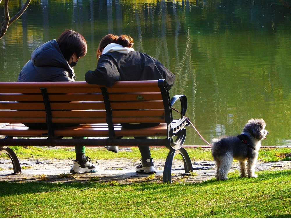 SAM_4039_副本 .jpg