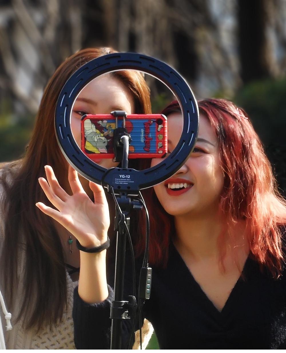 SAM_3907_副本 .jpg