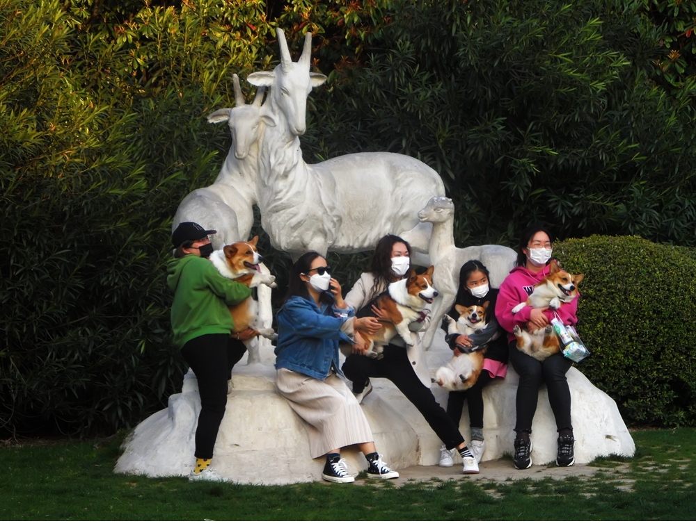 SAM_4116_副本 .jpg