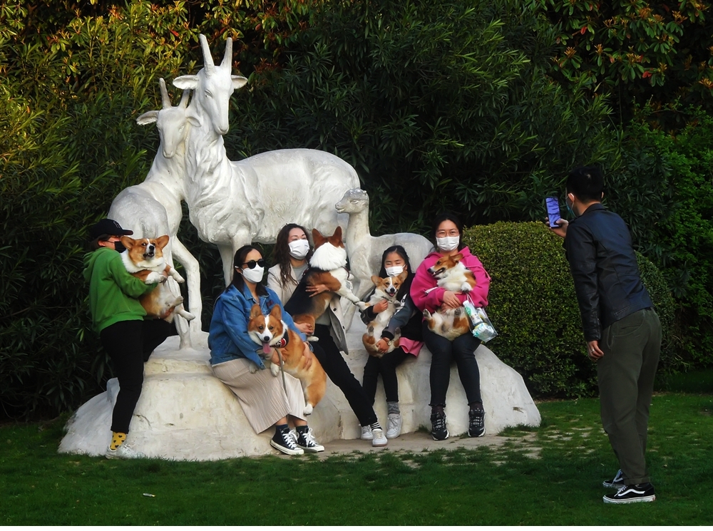 SAM_4119_副本 .jpg