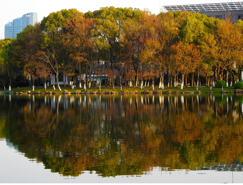 SAM_4098_副本 .jpg