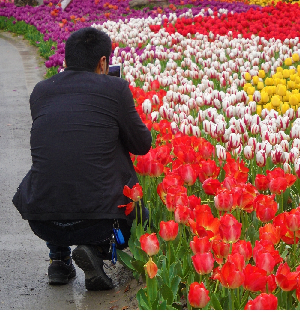 SAM_5990_副本 .jpg