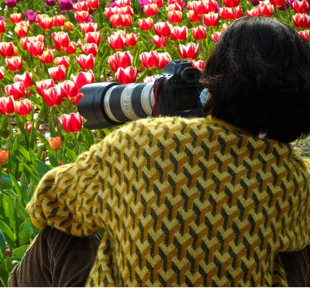 SAM_5081_副本 .jpg