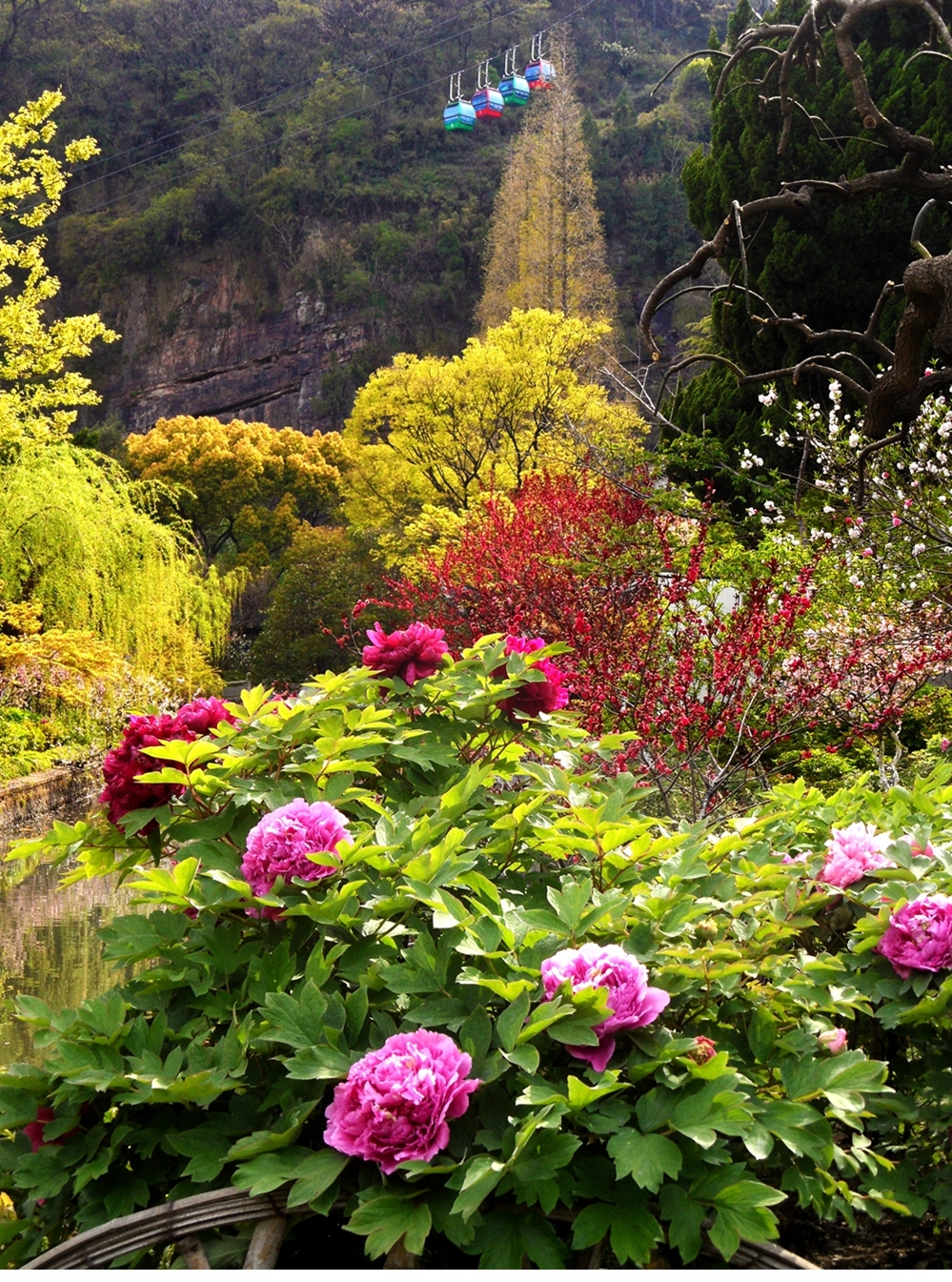 SAM_6299_副本 .jpg