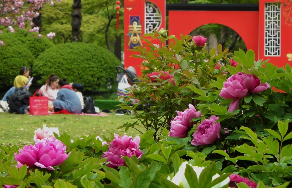 SAM_8046_副本 .jpg