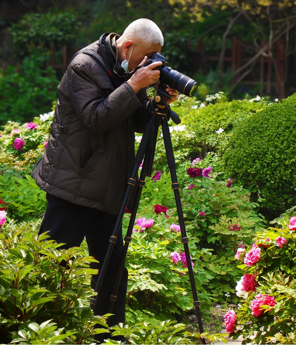 SAM_6781_副本 .jpg