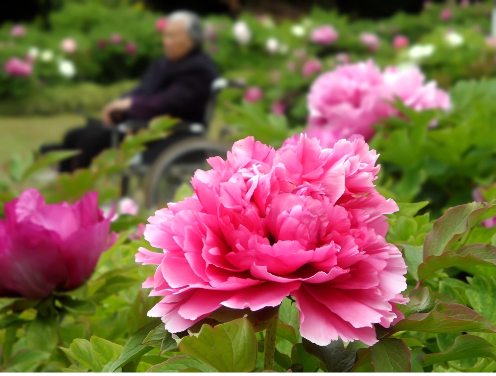 SAM_7983_副本 .jpg