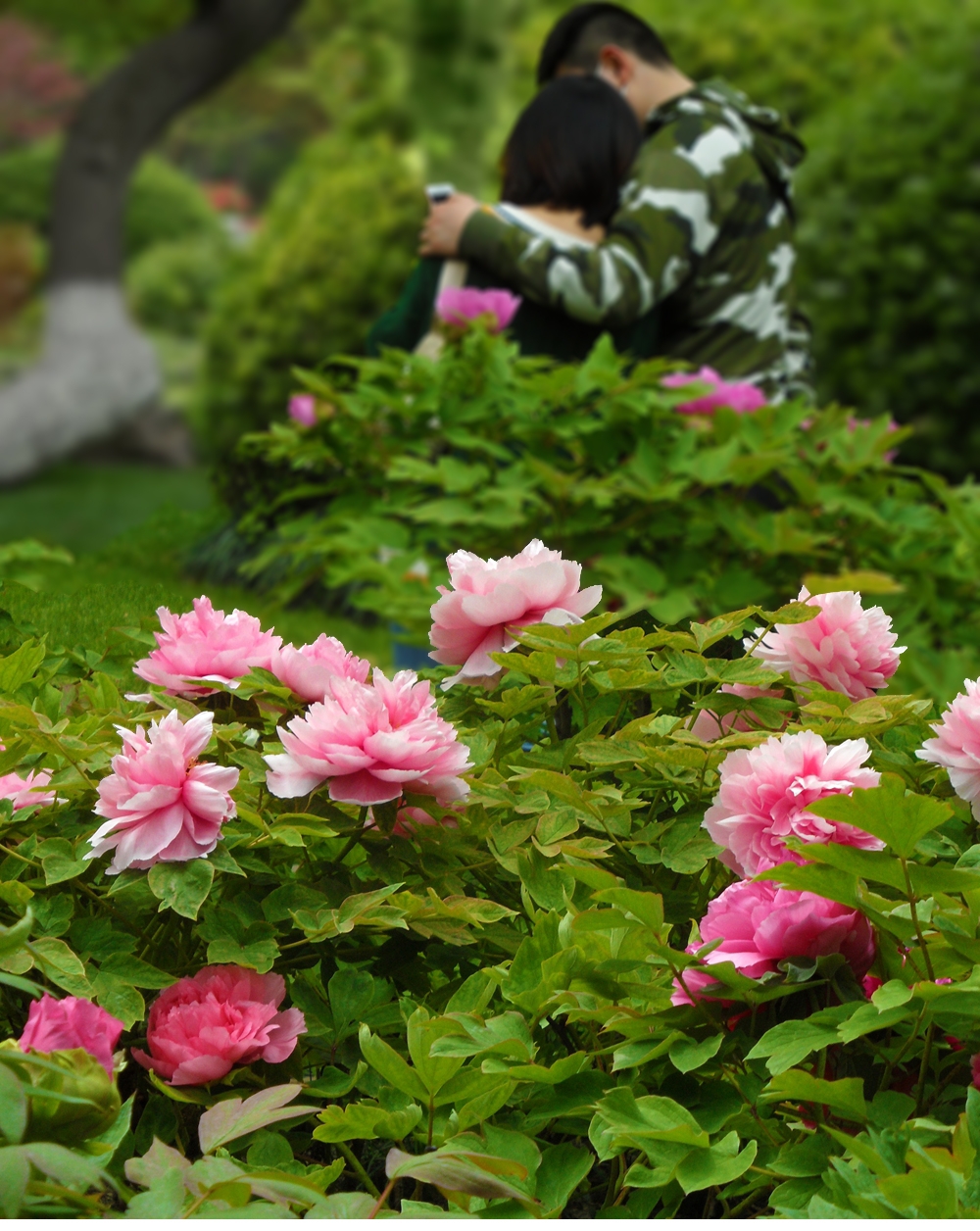 SAM_7943_副本 .jpg