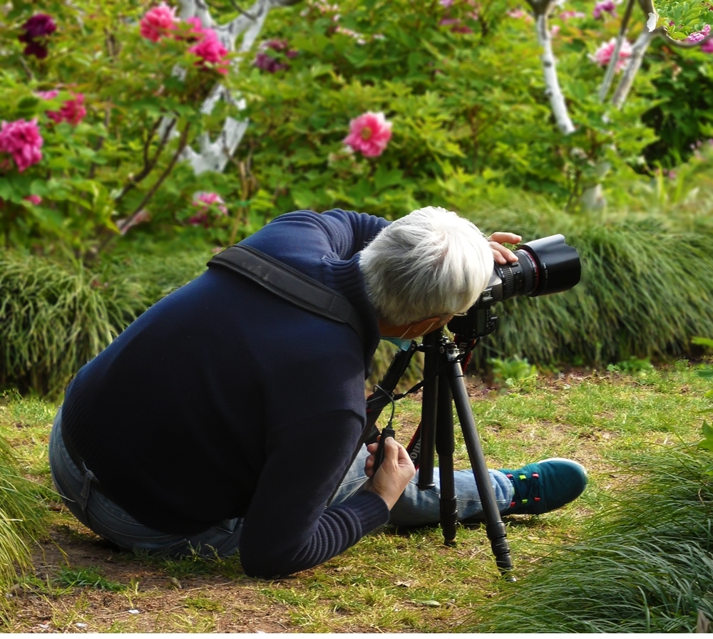 SAM_9027_副本 .jpg