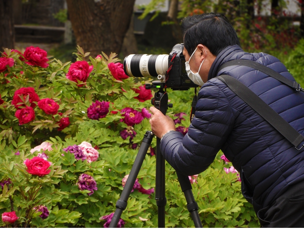 SAM_8199_副本 .jpg