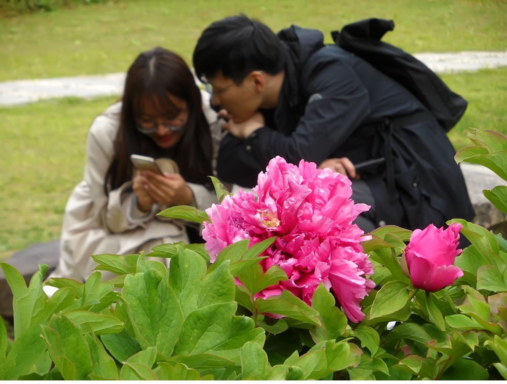 SAM_8234_副本 .jpg