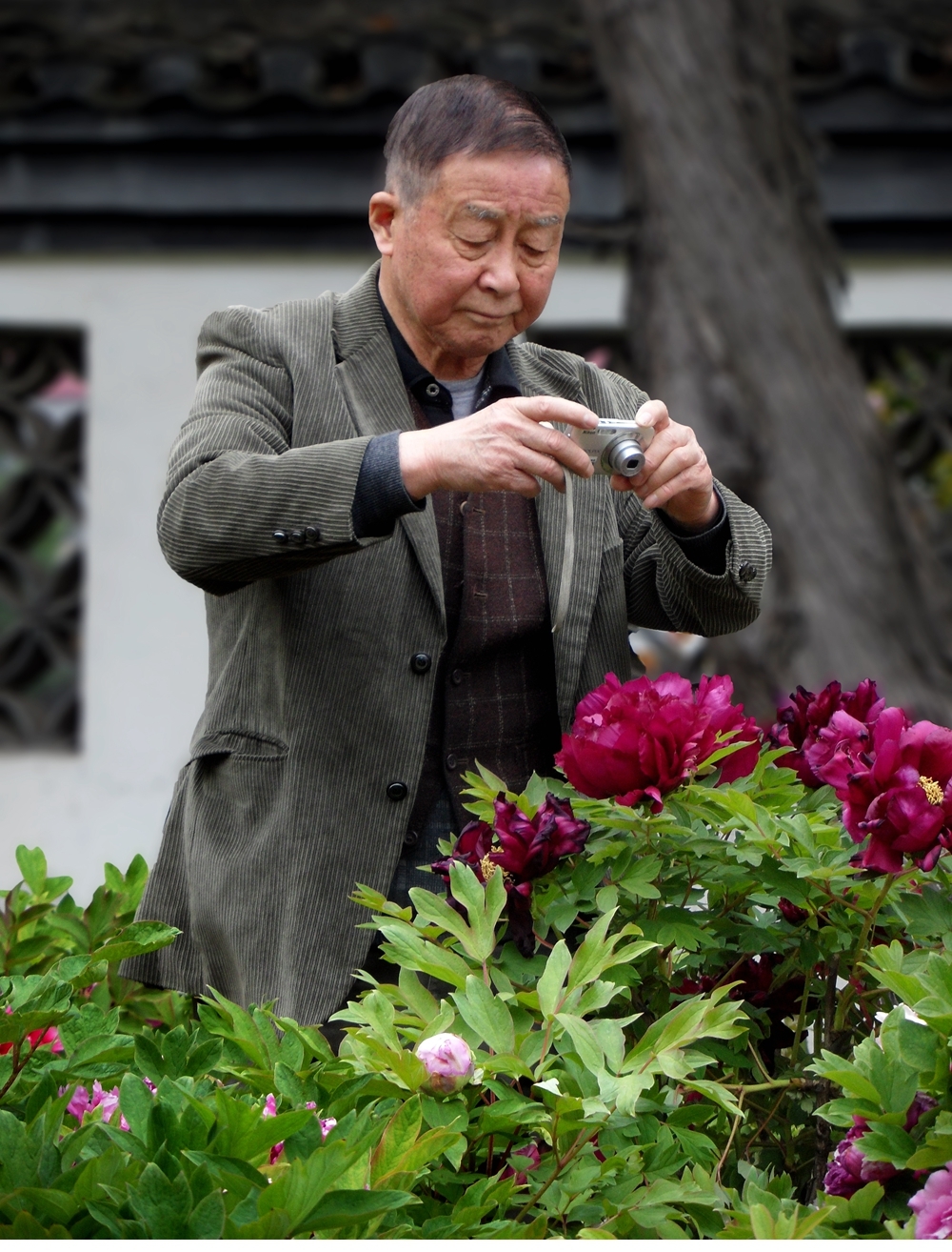 SAM_8257_副本 .jpg