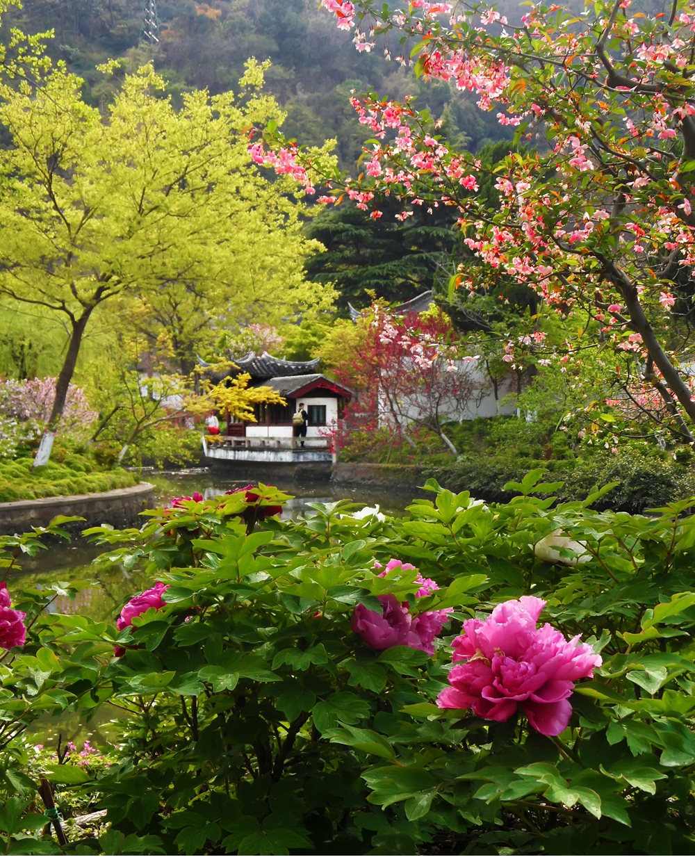 SAM_6314_副本 .jpg