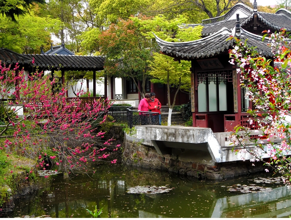 SAM_8221_副本 .jpg