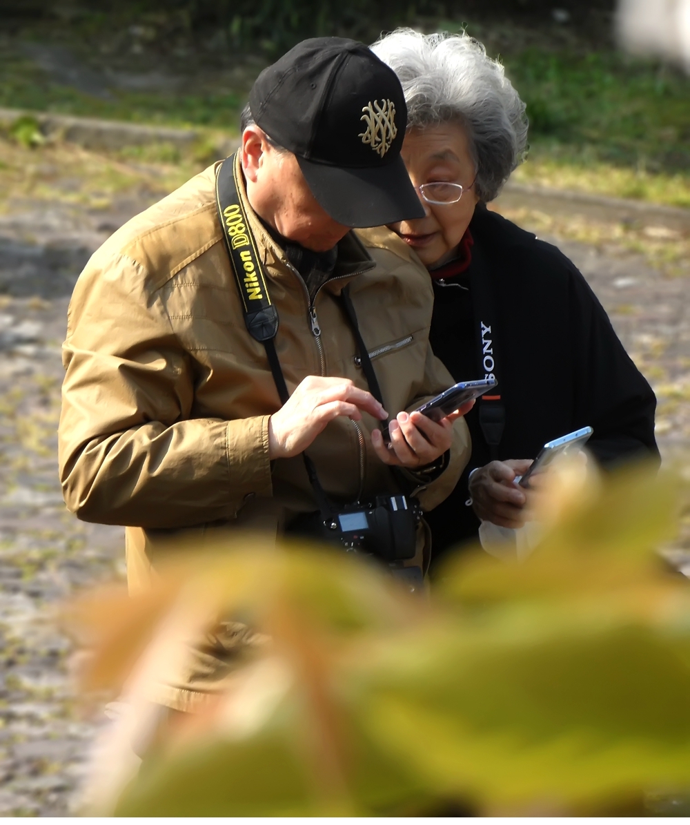 SAM_0247_副本 .jpg